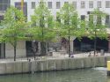 Wacker Drive with trees