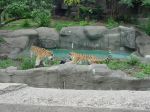 zoo picture