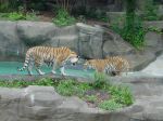 zoo picture